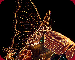 Disney's Fantillusion